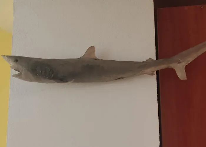 Apartmán Privat 2 Na Sihoti